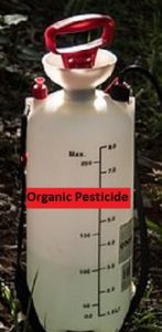 Organic Pesticide Spray